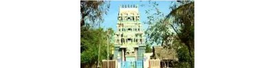 35. திருத்தேவனார் தொகை